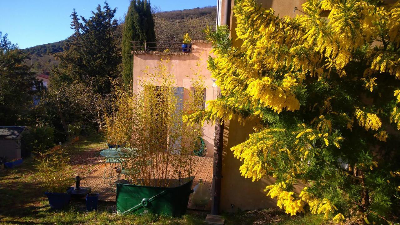 Le Chemin De Lauzieres Hotel Octon Exterior foto